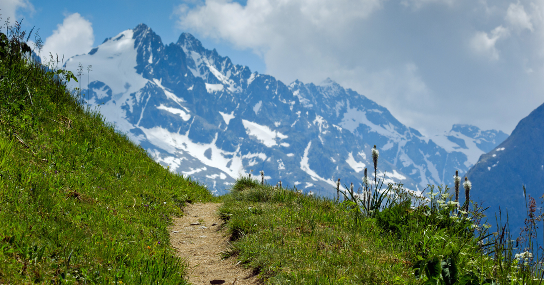Embracing Patience and Vision: The Power of Playing the Long Game
